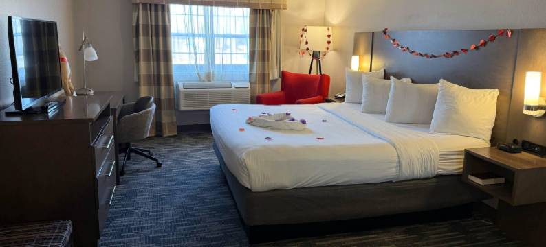 拉蒂森肯诺沙 - 愉快的草原乡村酒店套房(Country Inn & Suites by Radisson Kenosha - Pleasant Prairie)图片