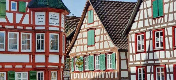 索内旅馆(Gasthof Sonne)图片