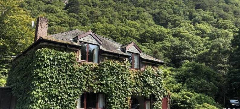 玛丽山酒店(The Mary Mount Hotel)图片