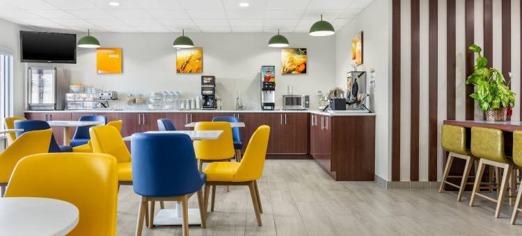 斯普林菲尔德舒适酒店及套房(Springfield Inn)图片