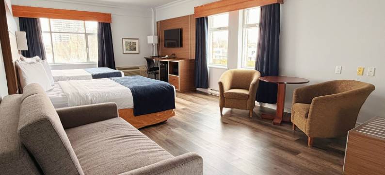 雪鹅酒店(Hotel l'Oie des Neiges)图片