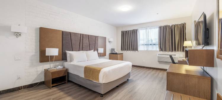 蒙特利尔大都会酒店(Hotel Montreal Metropolitan, an Ascend Collection Hotel)图片