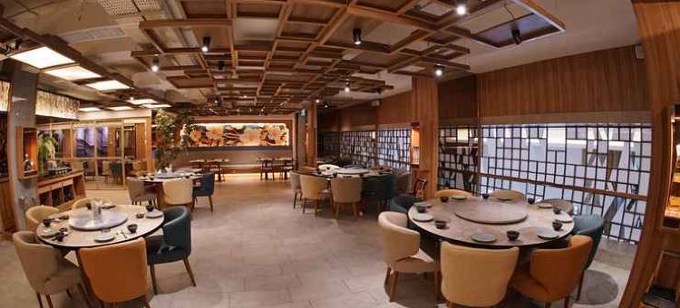 艾克塞尔顿酒店(The Excelton Hotel)图片