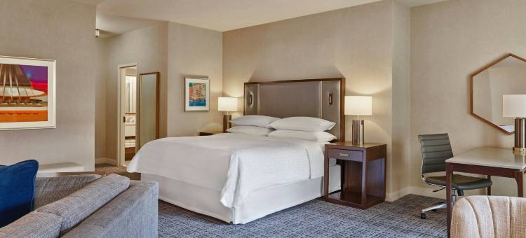 音乐城喜来登酒店(Sheraton Music City Nashville Airport)图片