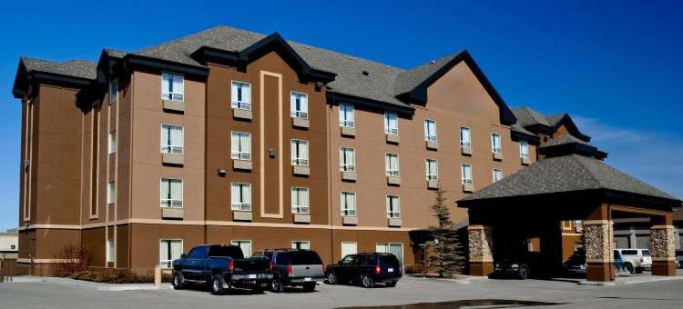 卡尔加里机场温德姆戴斯酒店(PRAIRIE CREST CALGARY AIRPORT by IHG)图片