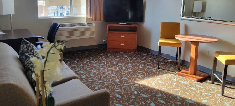 凯艺套房酒店(Quality Inn & Suites)图片