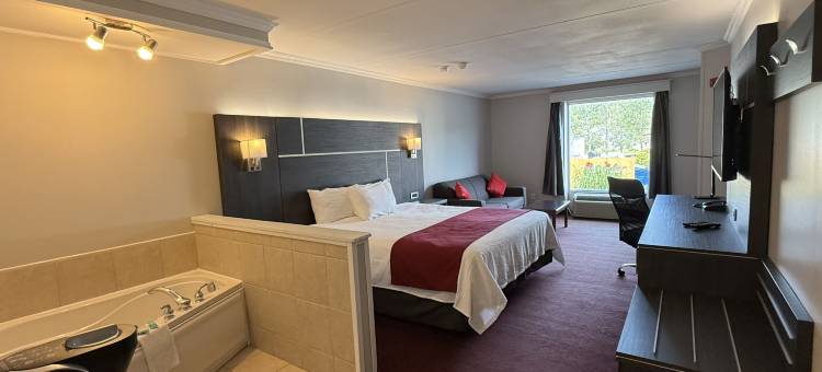 威廉国王罗德威旅馆(Rodeway Inn King William)图片