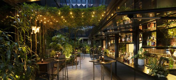 悉尼希尔顿格芮精选酒店(West Hotel Sydney - Curio Collection by Hilton)图片