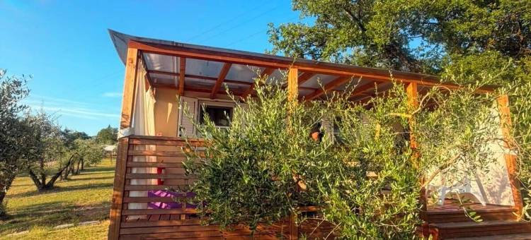 阿瑞泽VioVillas农家乐豪华露营(VioVillas Agriturismo Glamping Arezzo)图片