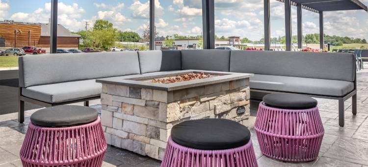 希尔顿丹维尔Home2套房(Home2 Suites by Hilton Danville)图片