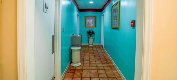 OYO酒店-格林斯伯勒东I40(OYO Hotel Greensboro East I 40)图片