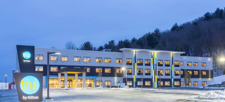 维斯塔尔希尔顿Tru酒店(Tru by Hilton Binghamton Vestal)图片