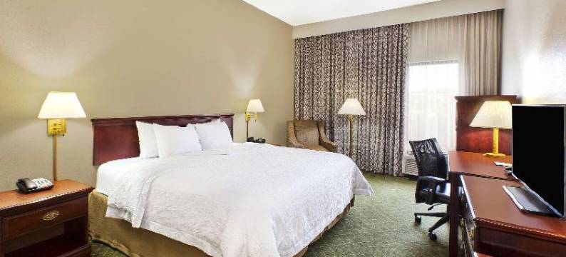 希尔顿欢朋酒店-玛丽埃塔(Hampton Inn Marietta)图片