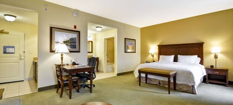 北查尔斯顿大学大道欢朋套房酒店(Hampton Inn & Suites North Charleston-University Blvd)图片
