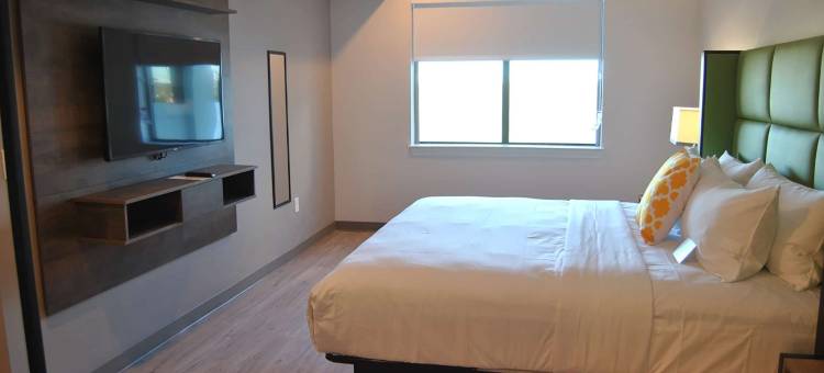 克利奇站温德姆花园酒店(Wyndham Garden College Station)图片