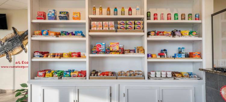 主门中心伊克诺套房旅馆(Econo Lodge Inn & Suites Maingate Central)图片