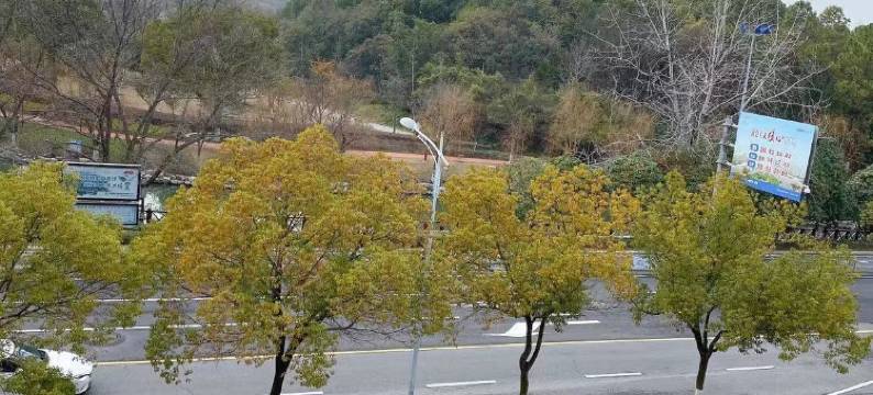 嘉善华艺宾馆图片