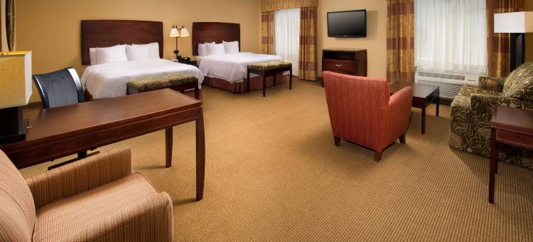 圣安东尼奥机场欢朋套房酒店(Hampton Inn & Suites San Antonio-Airport)图片