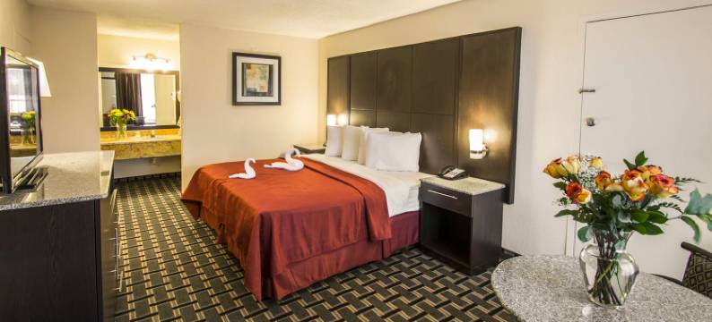 圣十字大酒店(Croix Grand Hotel)图片