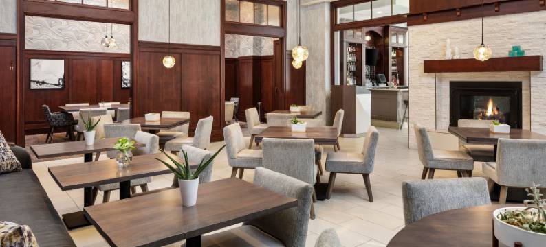 德卢斯喜来登酒店(Sheraton Duluth Hotel)图片