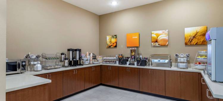 舒适套房酒店(Comfort Inn & Suites)图片