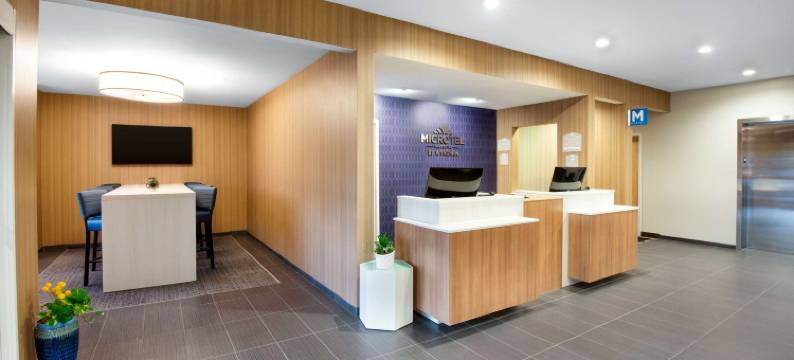 法明顿麦客达温德姆酒店(Microtel Inn & Suites by Wyndham Farmington)图片