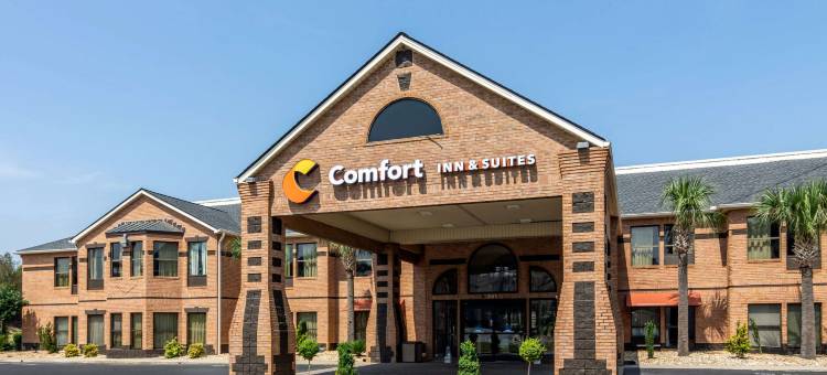 佩里国家博览会场区舒适套房酒店(Comfort Inn & Suites Perry National Fairgrounds Area)图片