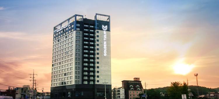 金郁金香艾佛龙仁饭店(Golden Tulip Ever Yongin)图片