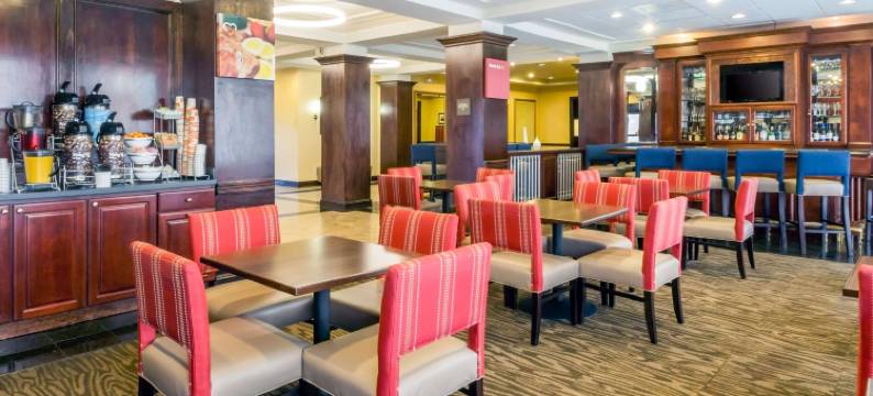 伍德布里奇舒适套房(Comfort Suites at Woodbridge)图片