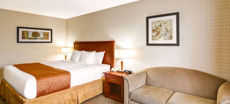 凯艺酒店(Quality Inn)图片