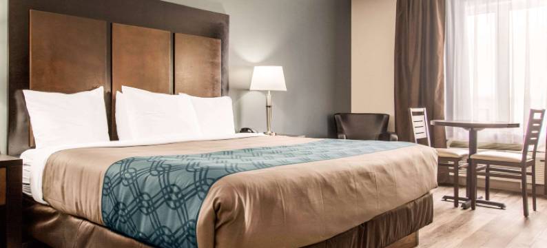 伊克诺套房旅馆(Econo Lodge Inn & Suites)图片