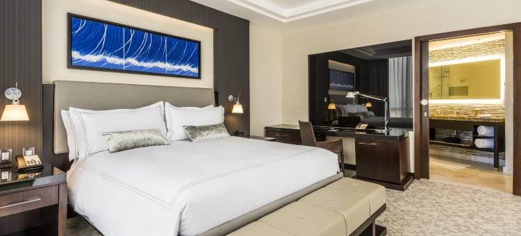 圣路易波托西凯悦酒店(Hyatt Regency San Luis Potosi)图片