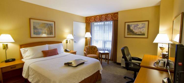 希尔顿欢朋酒店-温哥华机场/列治文(Hampton Inn by Hilton Vancouver-Airport/Richmond)图片