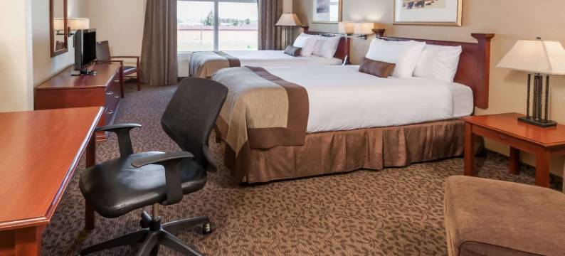 埃德蒙顿西蔚景温德姆酒店(Wingate by Wyndham Edmonton West)图片