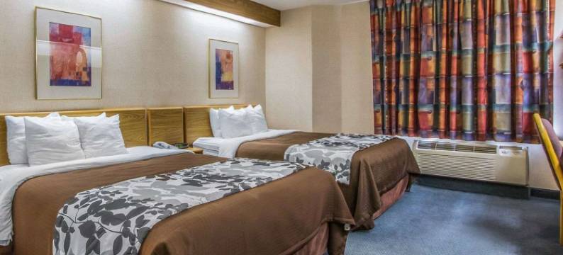 罗德威酒店(Rodeway Inn)图片