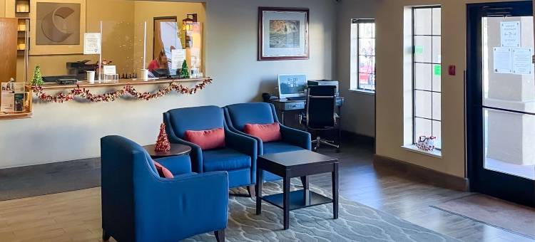 城中舒适套房酒店(Comfort Inn & Suites Midtown)图片