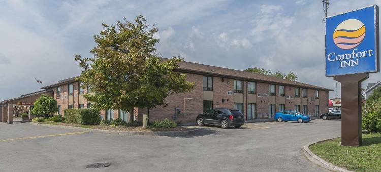 贝勒维尔舒适酒店(Comfort Inn)图片