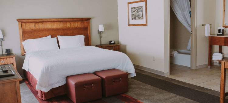 希尔顿欢朋套房酒店-绿河(Hampton Inn & Suites Green River)图片