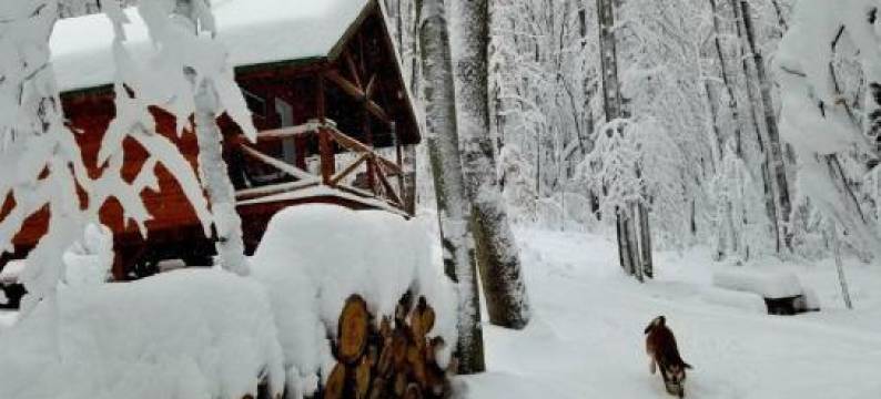 Les Cabines Nordik 2.0图片