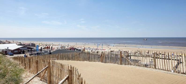 狮子多尔酒店(Hotel Lion d'Or)图片