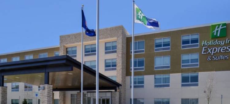 智选假日套房酒店-布赖顿南/US 23公路(Holiday Inn Express & Suites Brighton South - US 23)图片