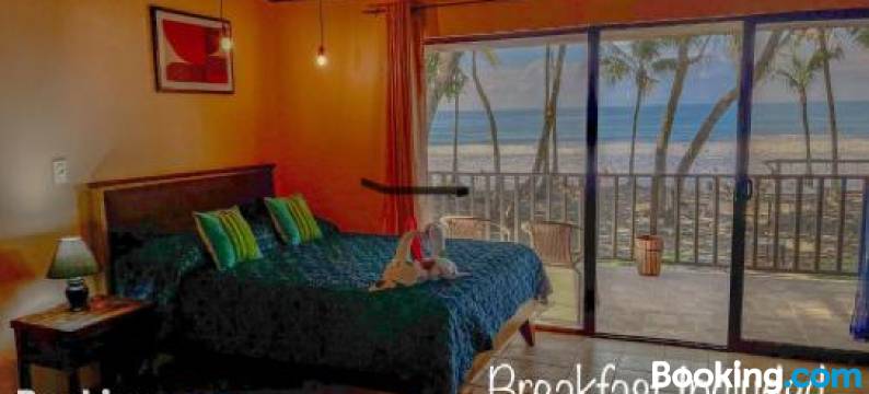 维斯塔埃尔莫萨海滩前酒店(Hotel Beachfront Vista Hermosa)图片