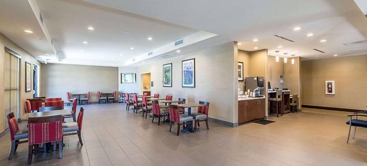 舒适套房酒店(Comfort Suites Kyle)图片