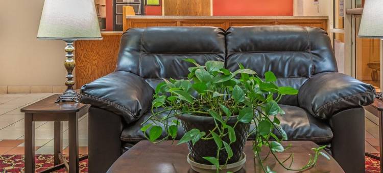 萨莱纳温德姆呗盟酒店(Baymont by Wyndham Salina)图片