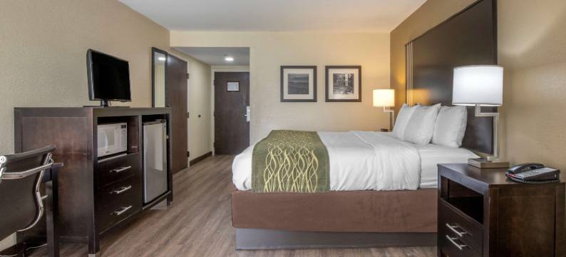 舒适酒店(Comfort Inn Near Downtown & Blue Ridge Pkwy)图片