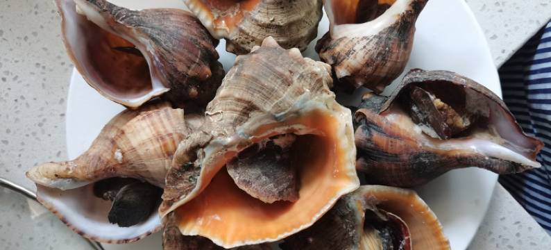 大钦岛家进渔家特色民宿图片