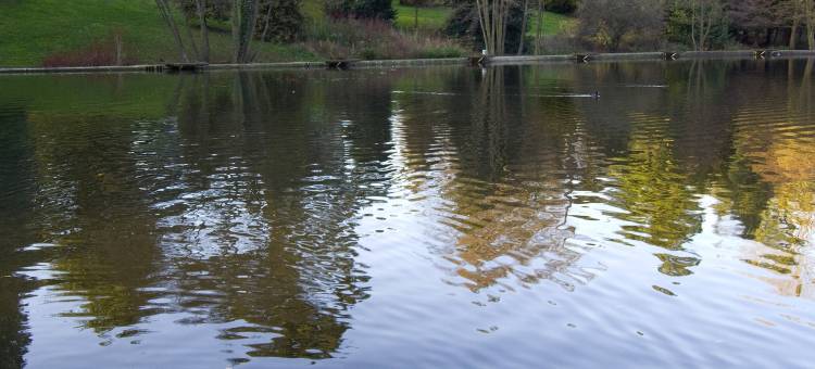 斯特劳德普瑞米尔酒店(Premier Inn Stroud)图片