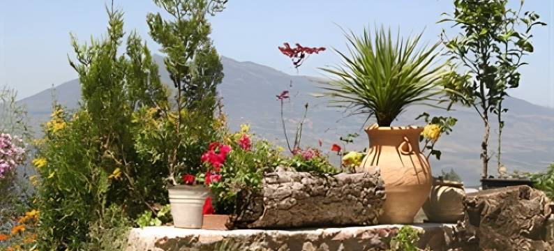 达尔里阿纳酒店(Dar Rihana)图片