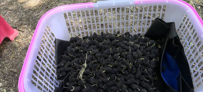 美的民宿(永济西路分店)图片