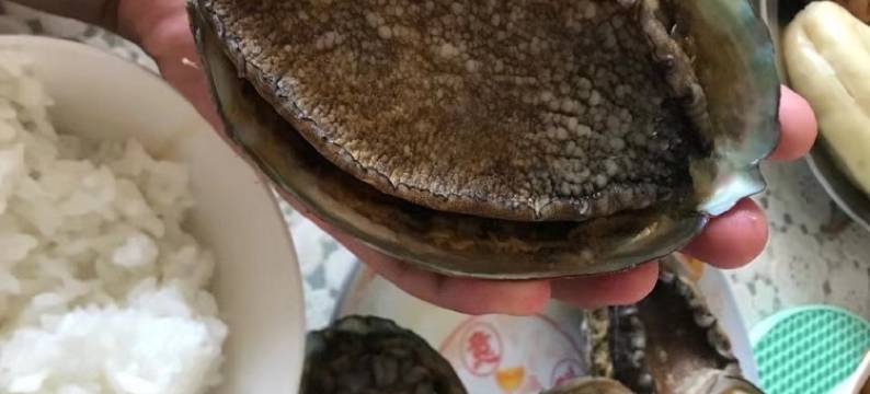 想你的风把你吹来海边公寓(漓江西路分店)图片